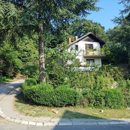 Nena & Rale Rooms Donji Milanovac Luaran gambar