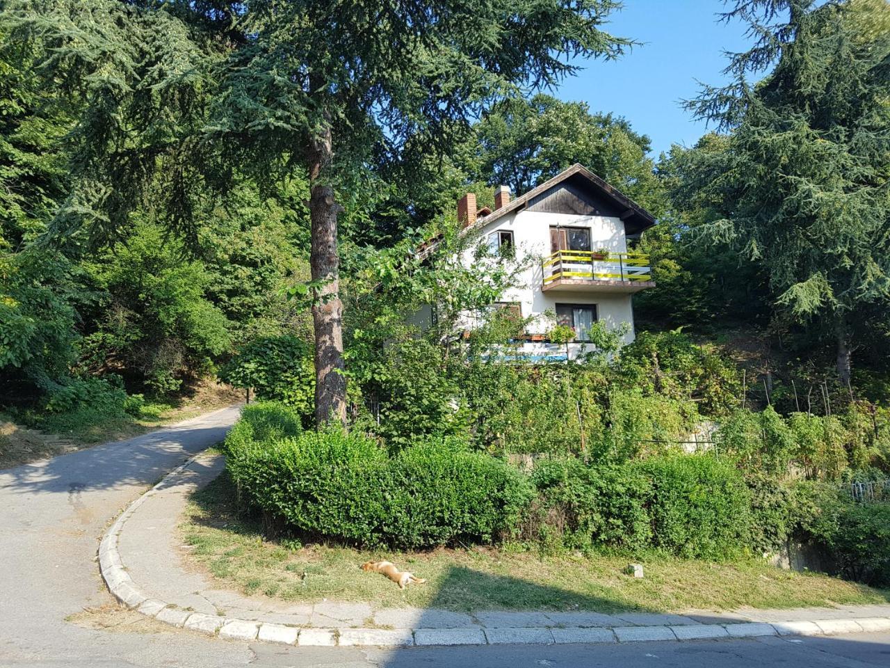Nena & Rale Rooms Donji Milanovac Luaran gambar