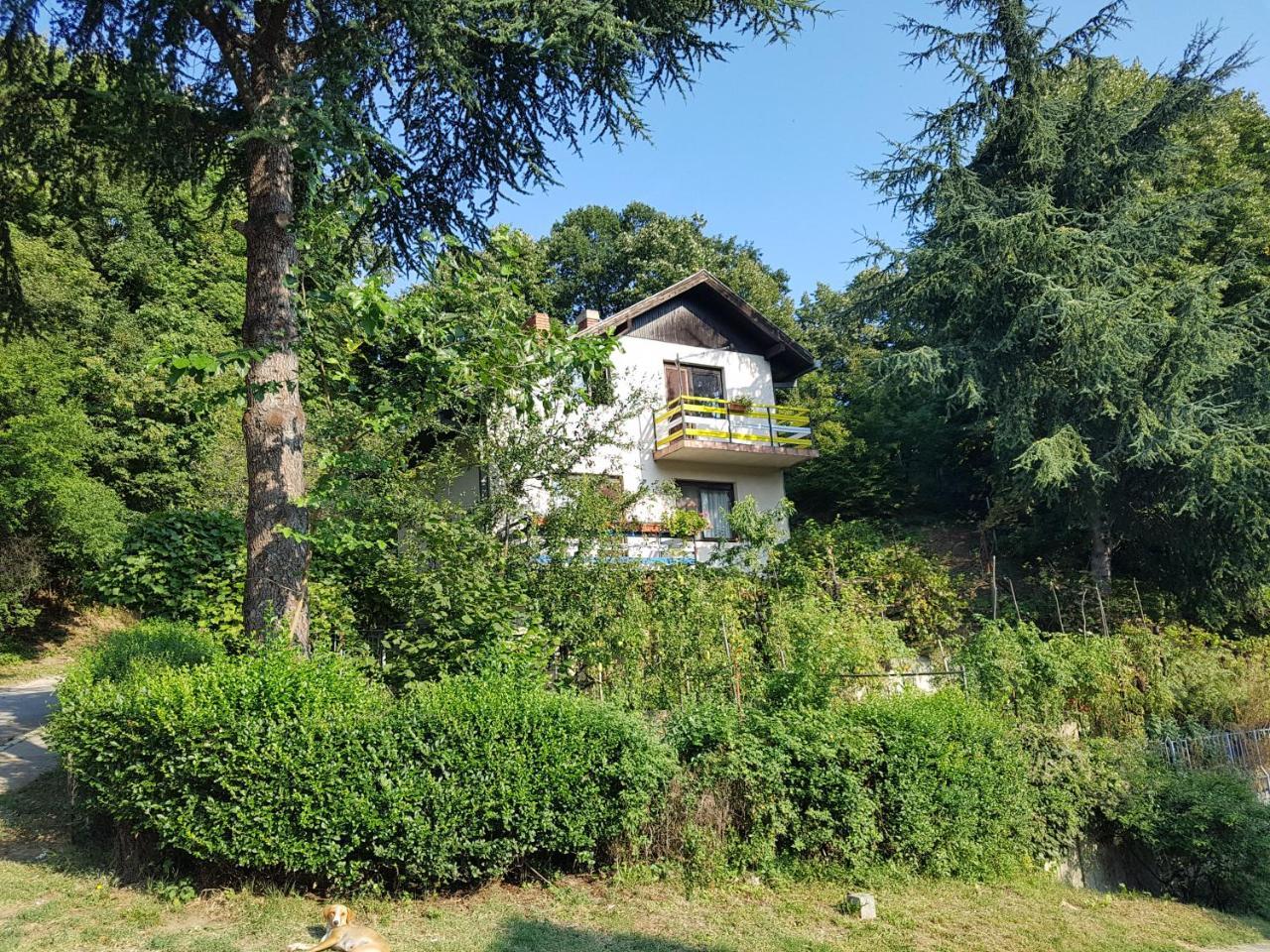 Nena & Rale Rooms Donji Milanovac Luaran gambar